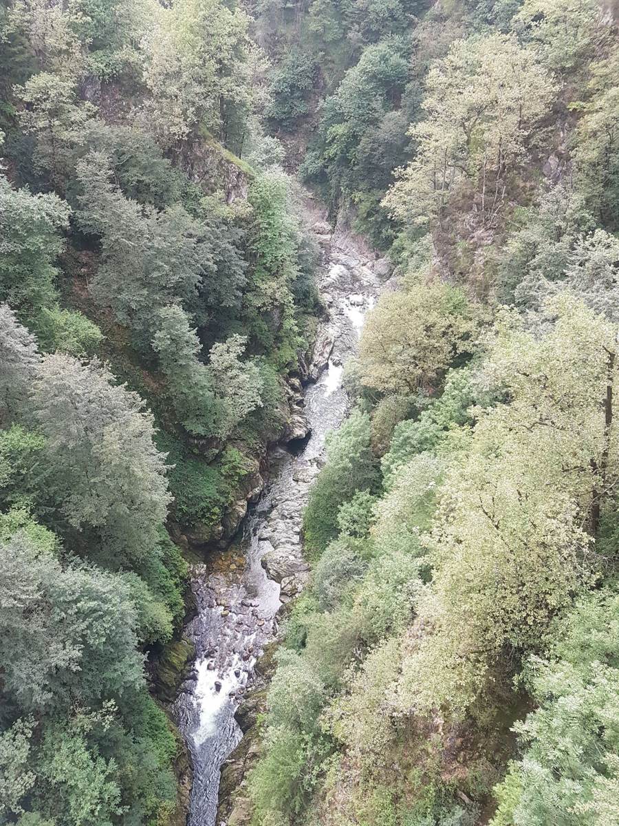 A steep wooded gorge with a white stream far below