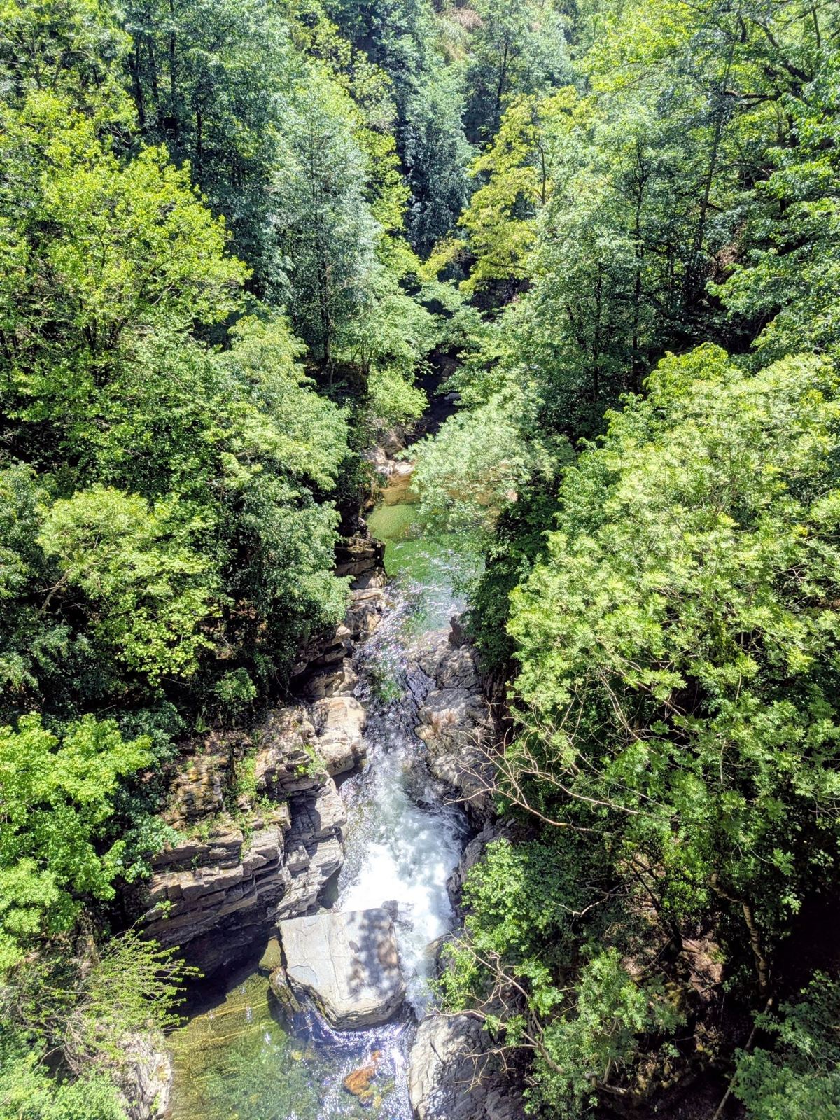 A rocky gorge with a stream far below between green trees
