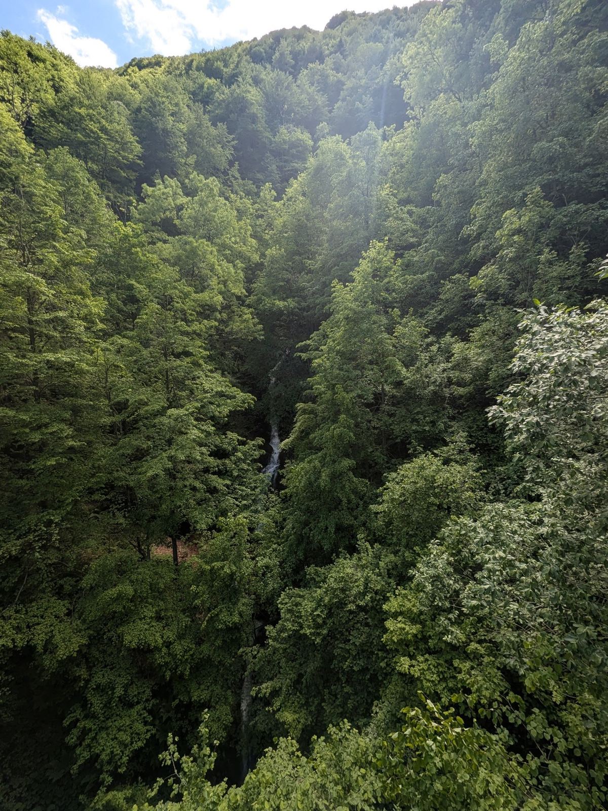 Steep forest with a thin waterfall in the woods near Gaggiolone