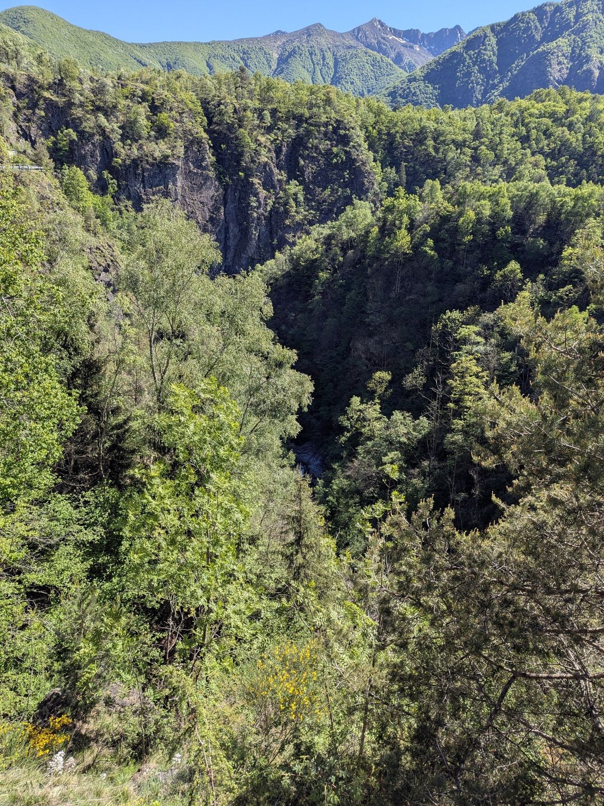 A deep wooded gorge seen from the valley road on the way down