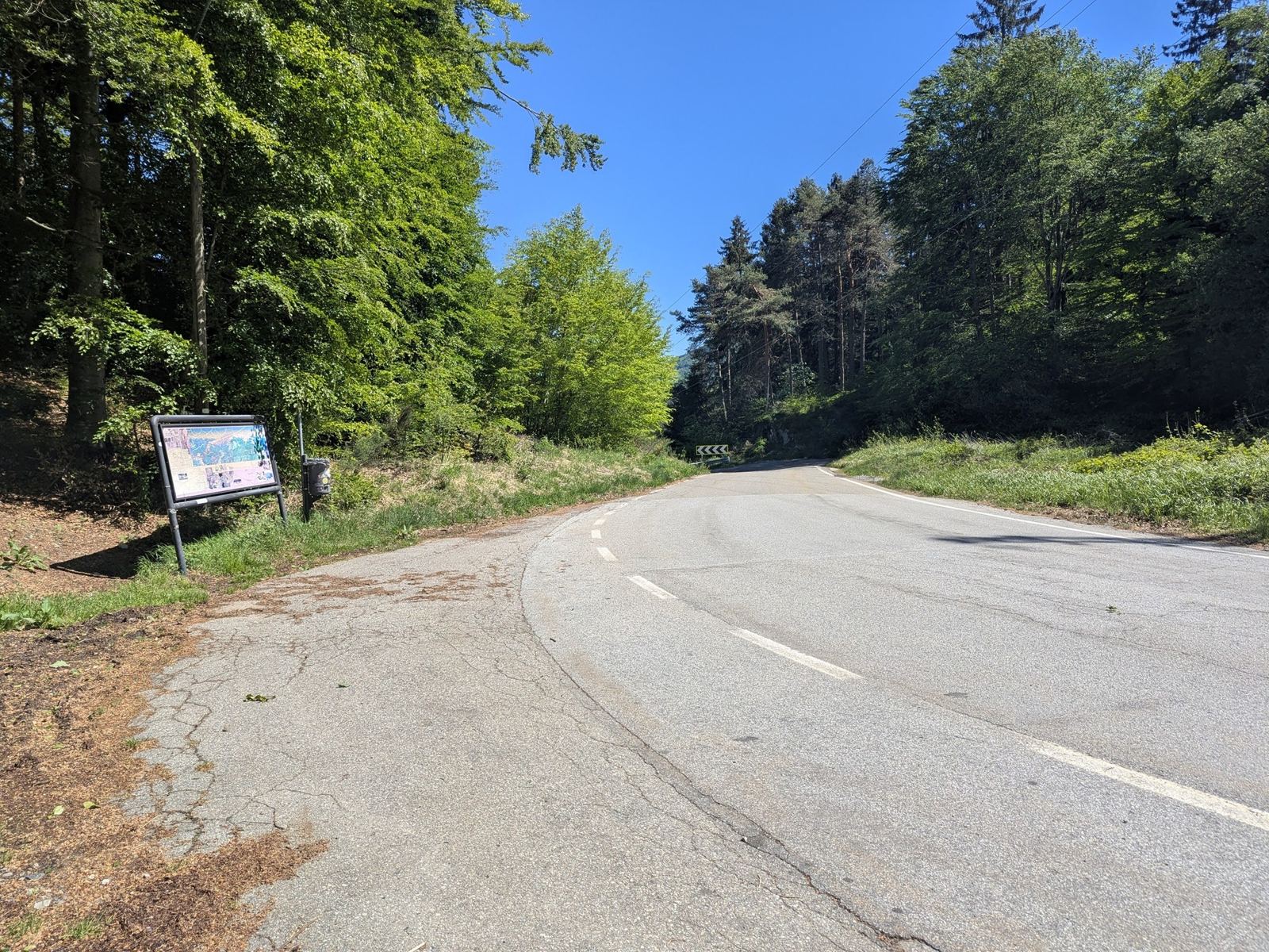 The road at the top of the pass with an information board under the trees