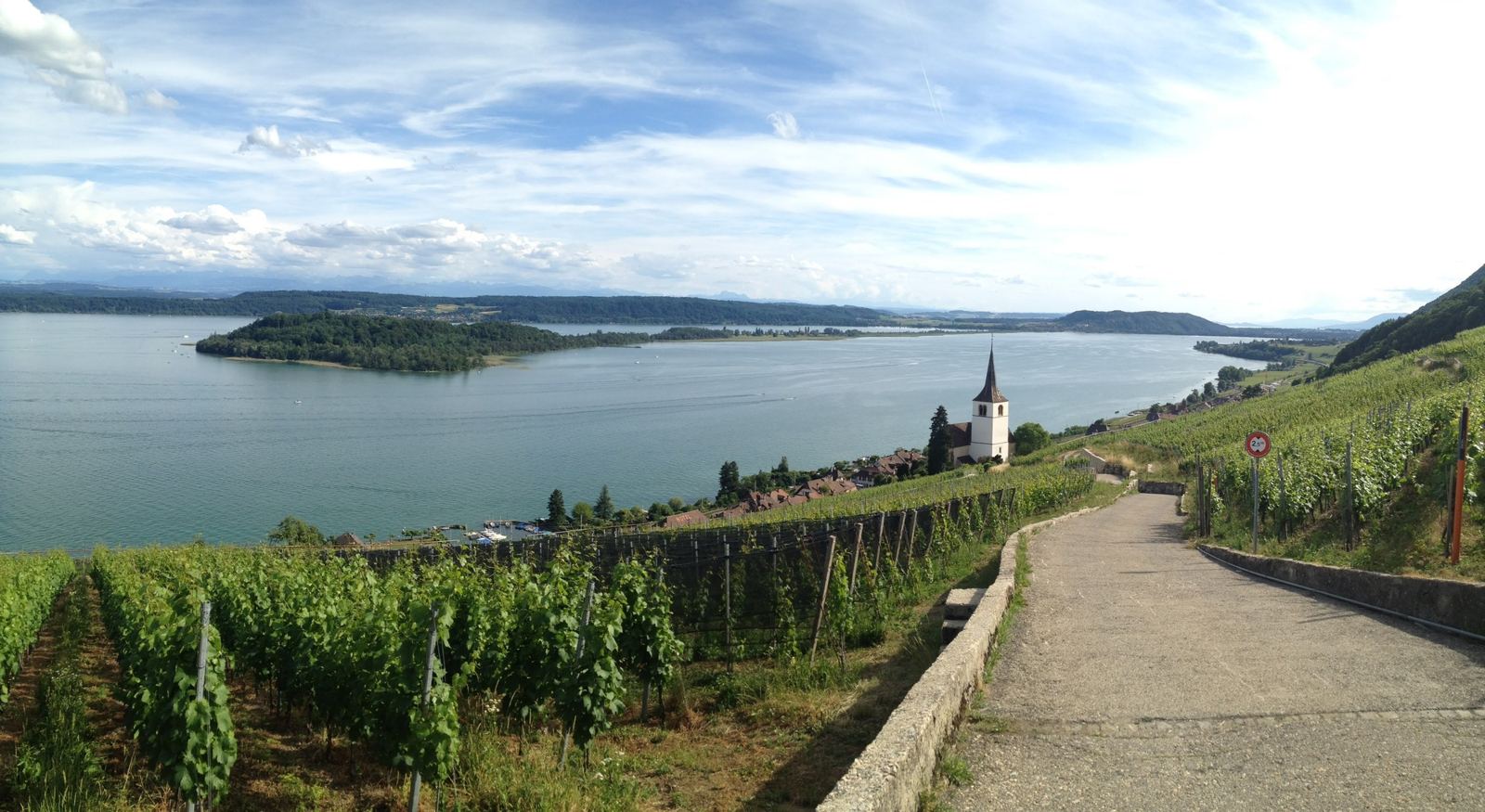 A narrow road through the vineyards above Ligerz, looking down to Lake Biel and St Peter's Island