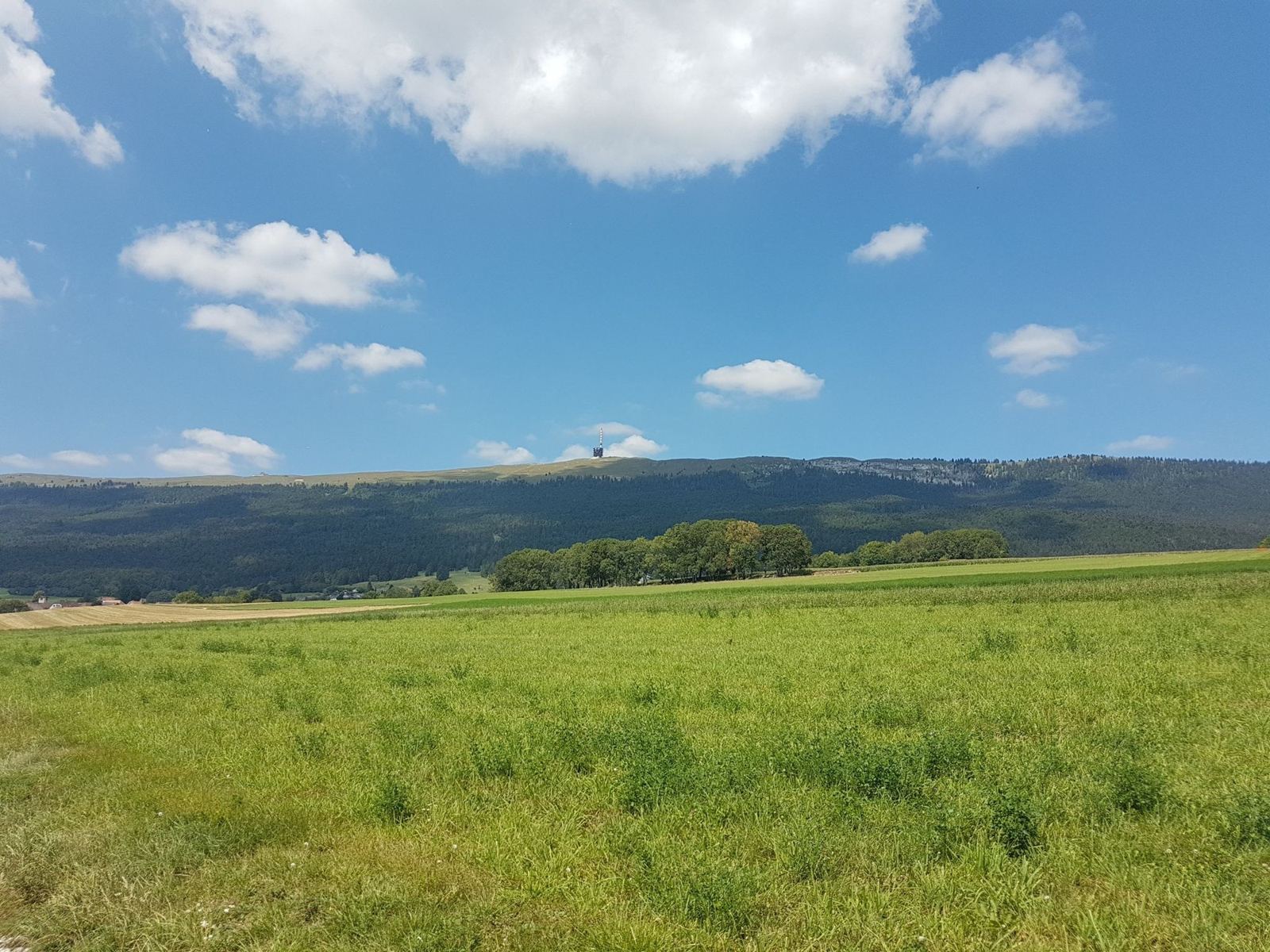 Green fields on the Plateau de Diesse under a big blue sky, with the long wooded Chasseral ridge behind