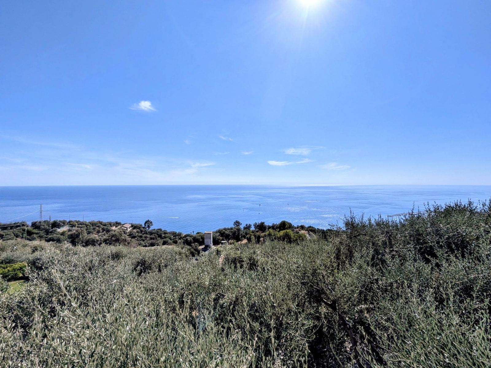 The Ligurian sea under a bright sun, seen from the hillside at Cipressa