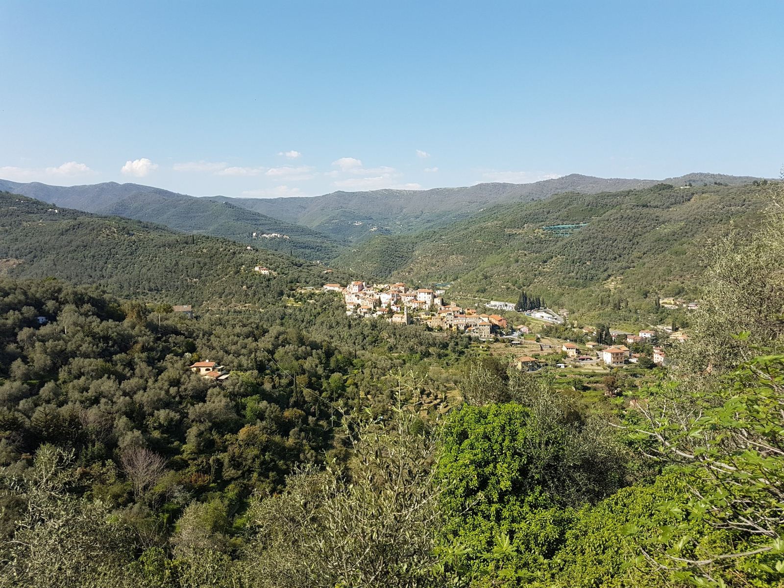 The green Prino valley with Dolcedo's houses on the hillside