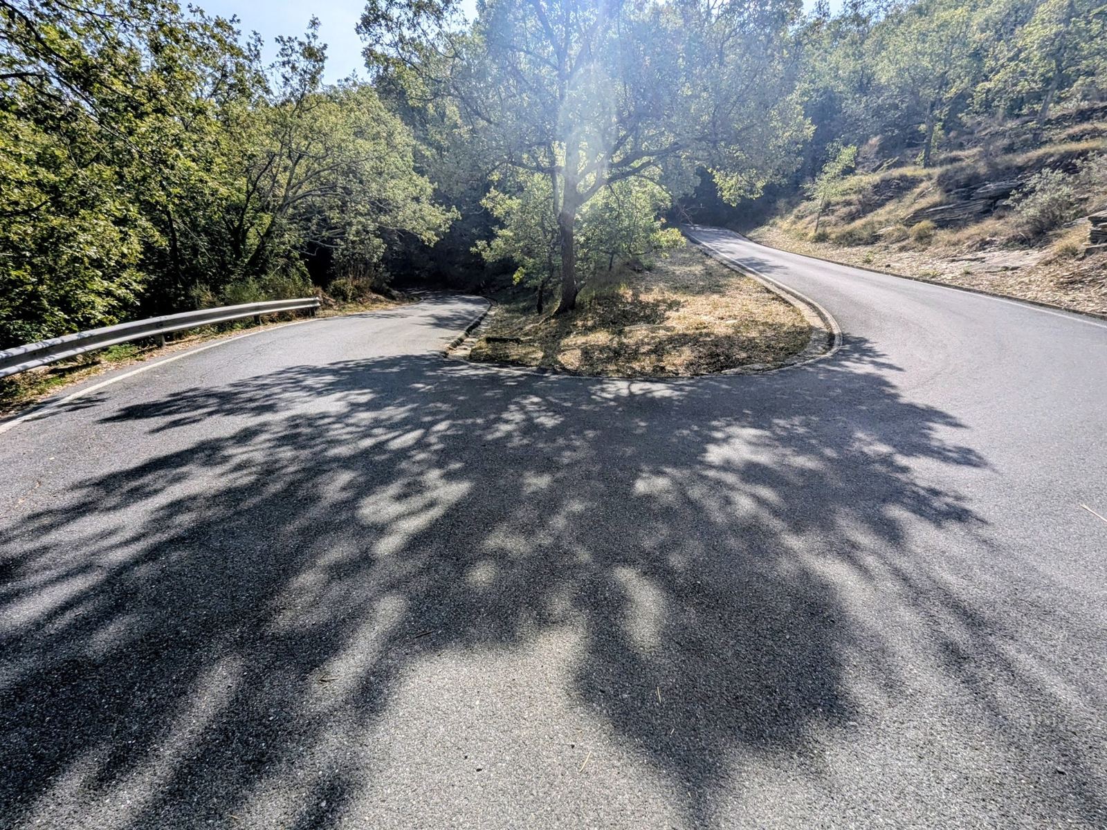 A hairpin bend on the road down to Dolcedo under olive trees