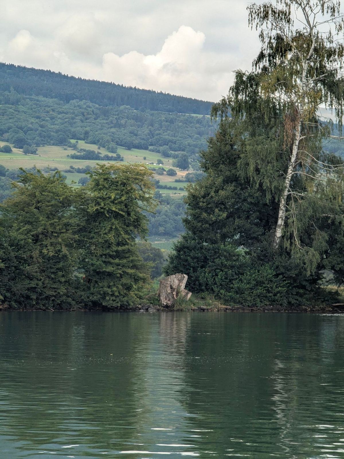 Trees along the green shore of Lake Biel with calm water in front and the Jura behind