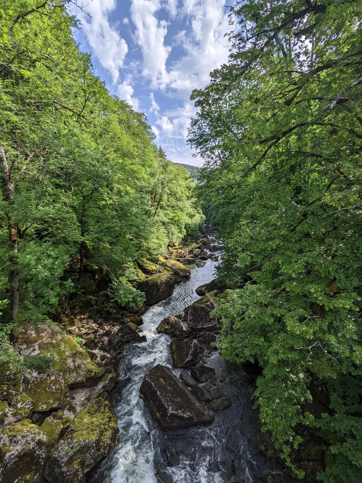 A stream tumbling down a narrow wooded gorge towards the Doubs