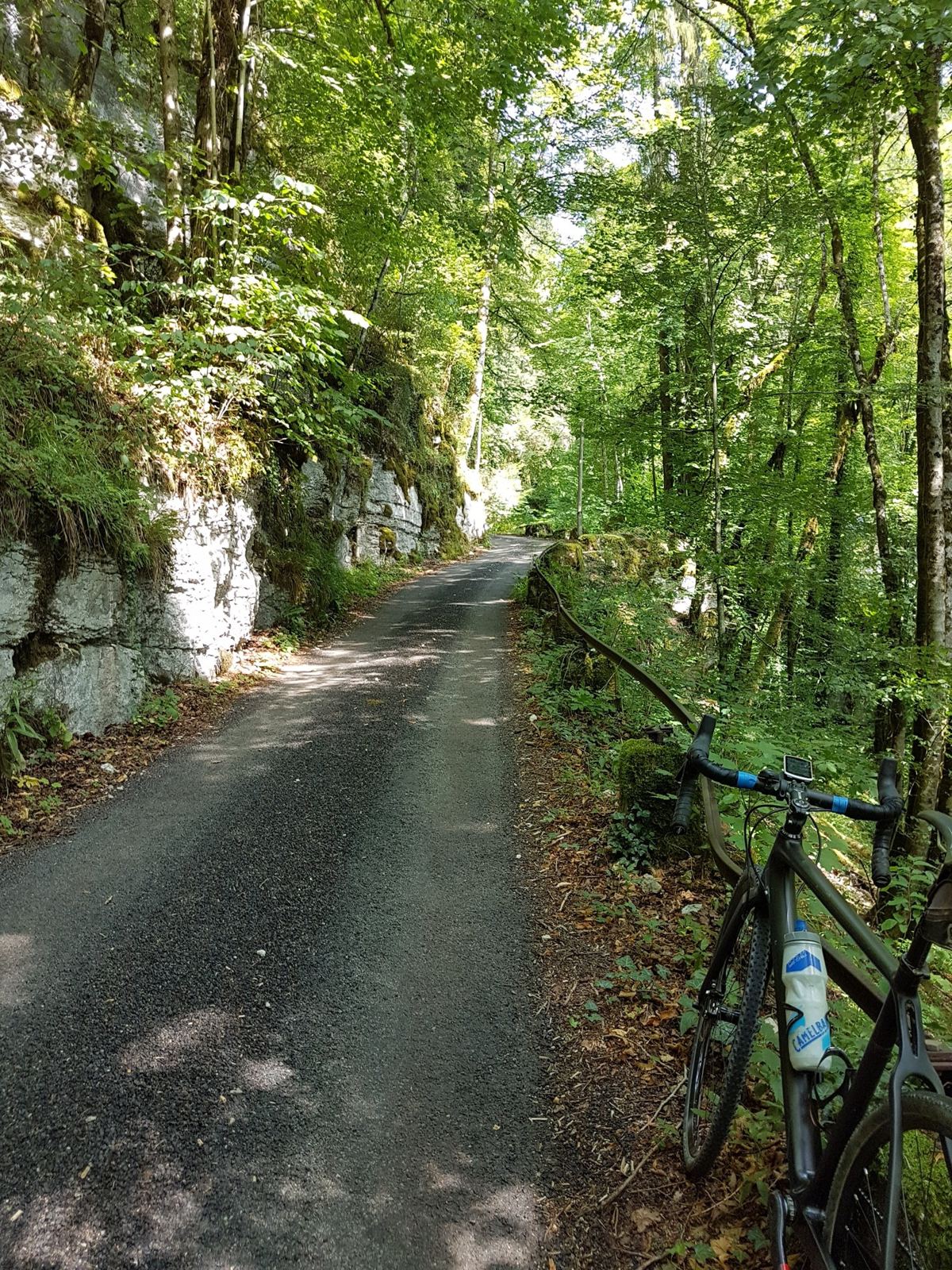 A road bike leaning against a tree beside a path along the Doubs near La Goule