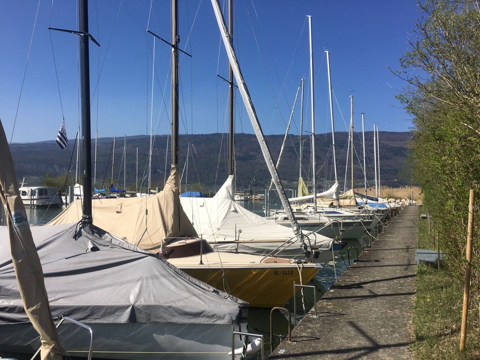 Sailing boats moored along a jetty in a Lake Biel marina, masts against a blue sky