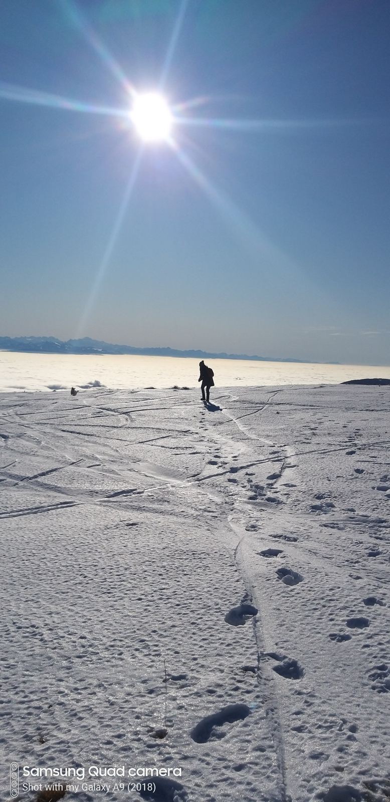 A walker crossing deep snow at the top of Chasseral towards a low winter sun