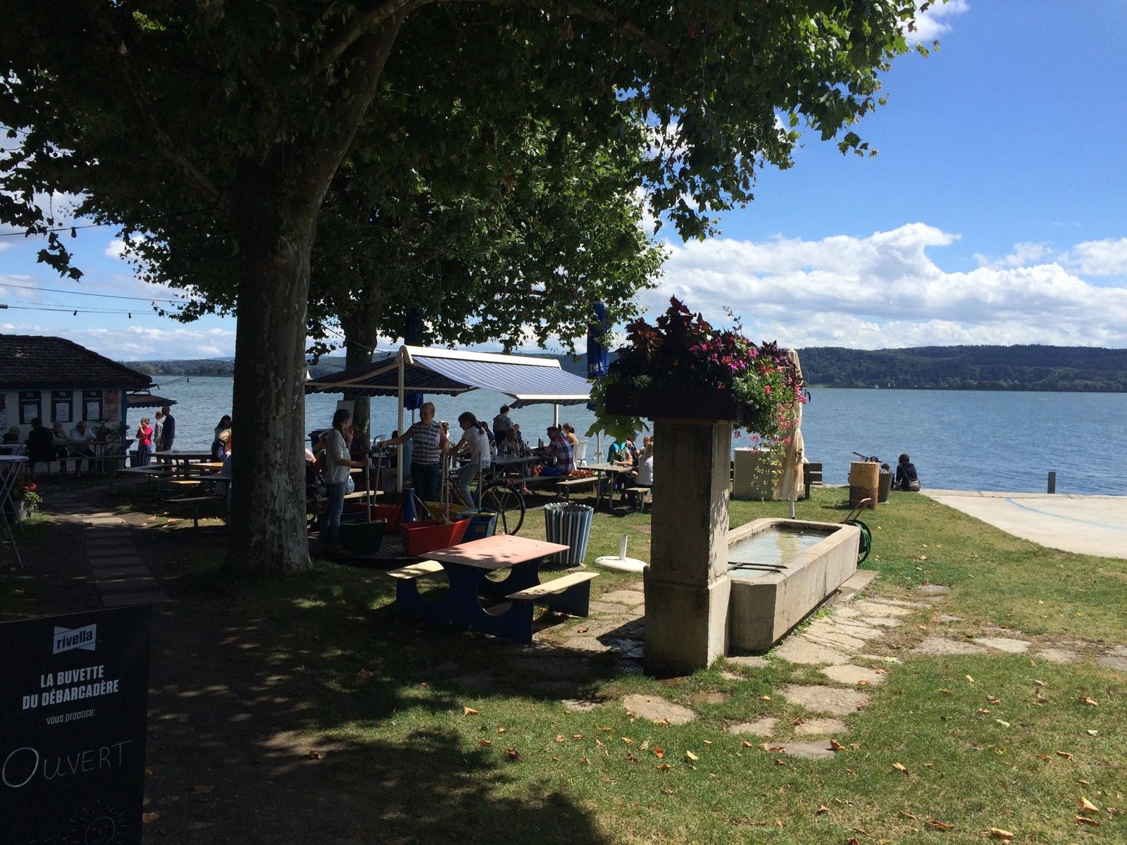 The lakeside at La Neuveville, with tables under the plane trees and Lake Biel beyond