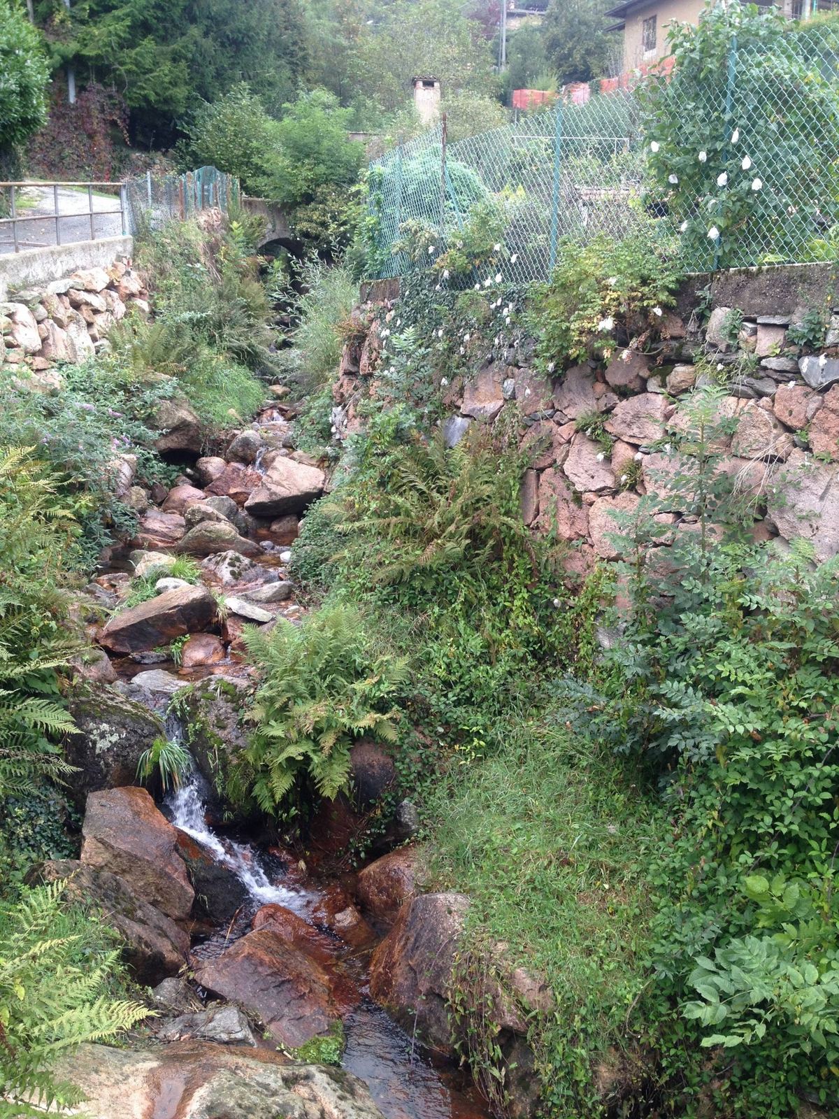 A small stream running down mossy rocks beside the road