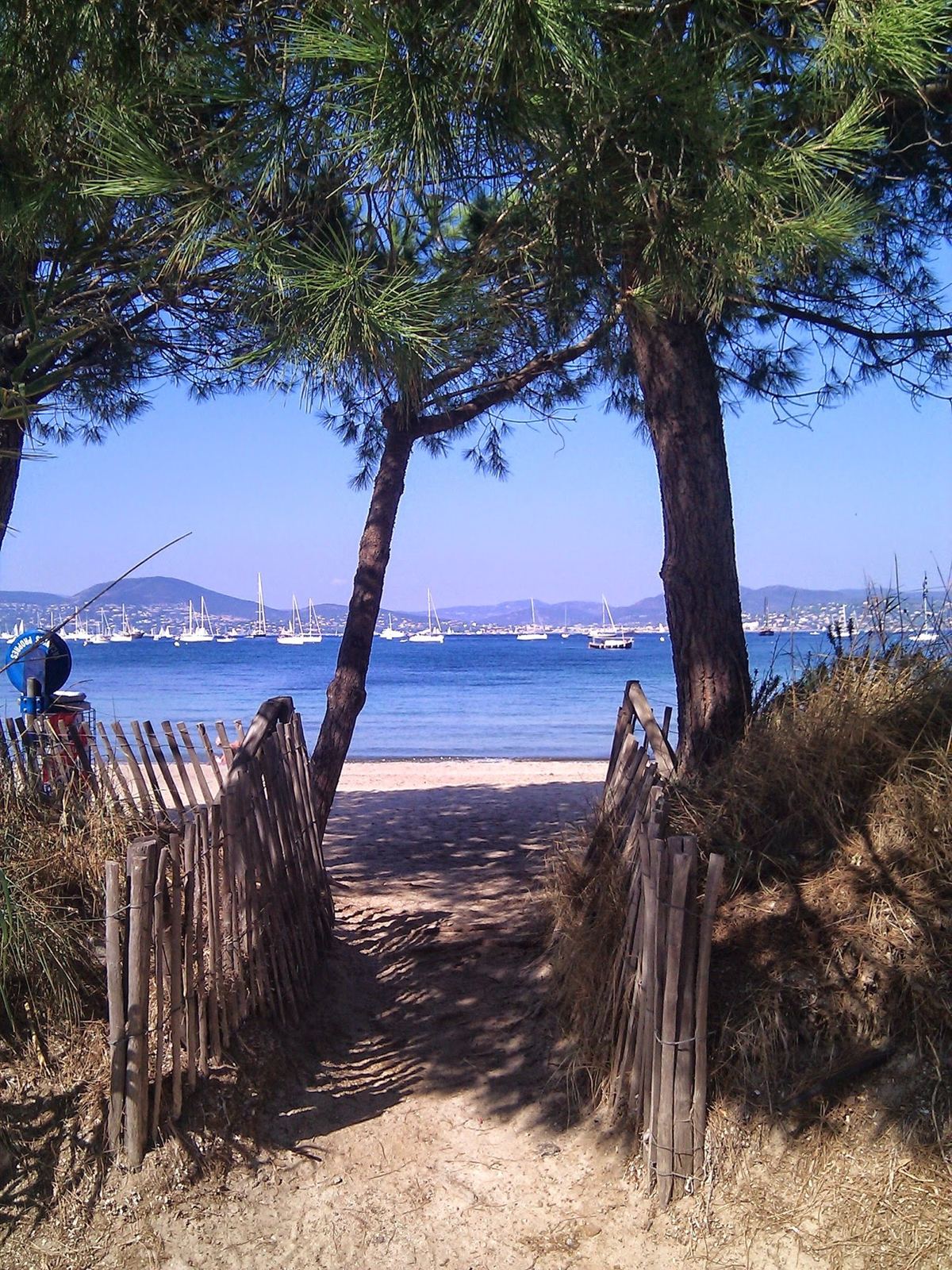 A sandy path through pine trees to the sea with Saint-Tropez across the bay