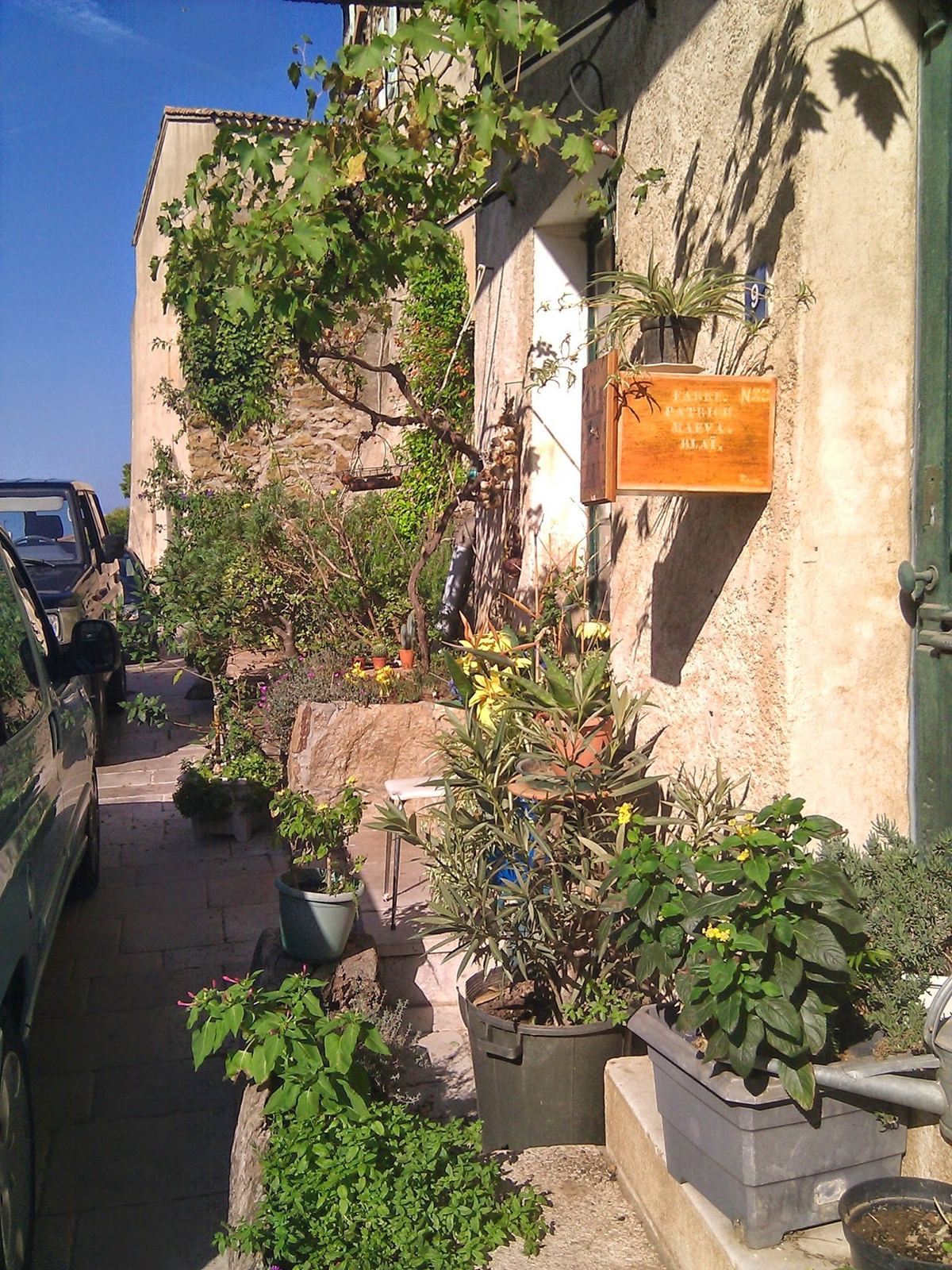 Flowers and plants outside an old stone house in a Provençal village