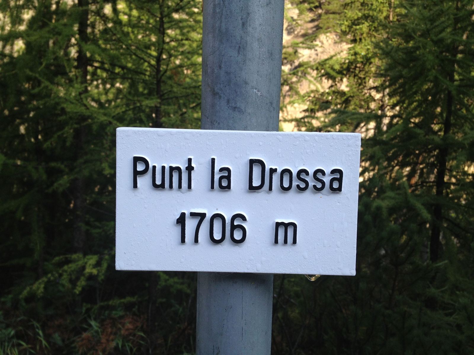 A yellow Swiss signpost at Punt la Drossa showing distances to Alp la Schera, Il Fuorn and other places
