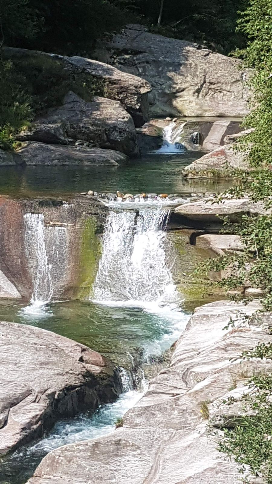 A small waterfall cascading over white granite into a green pool