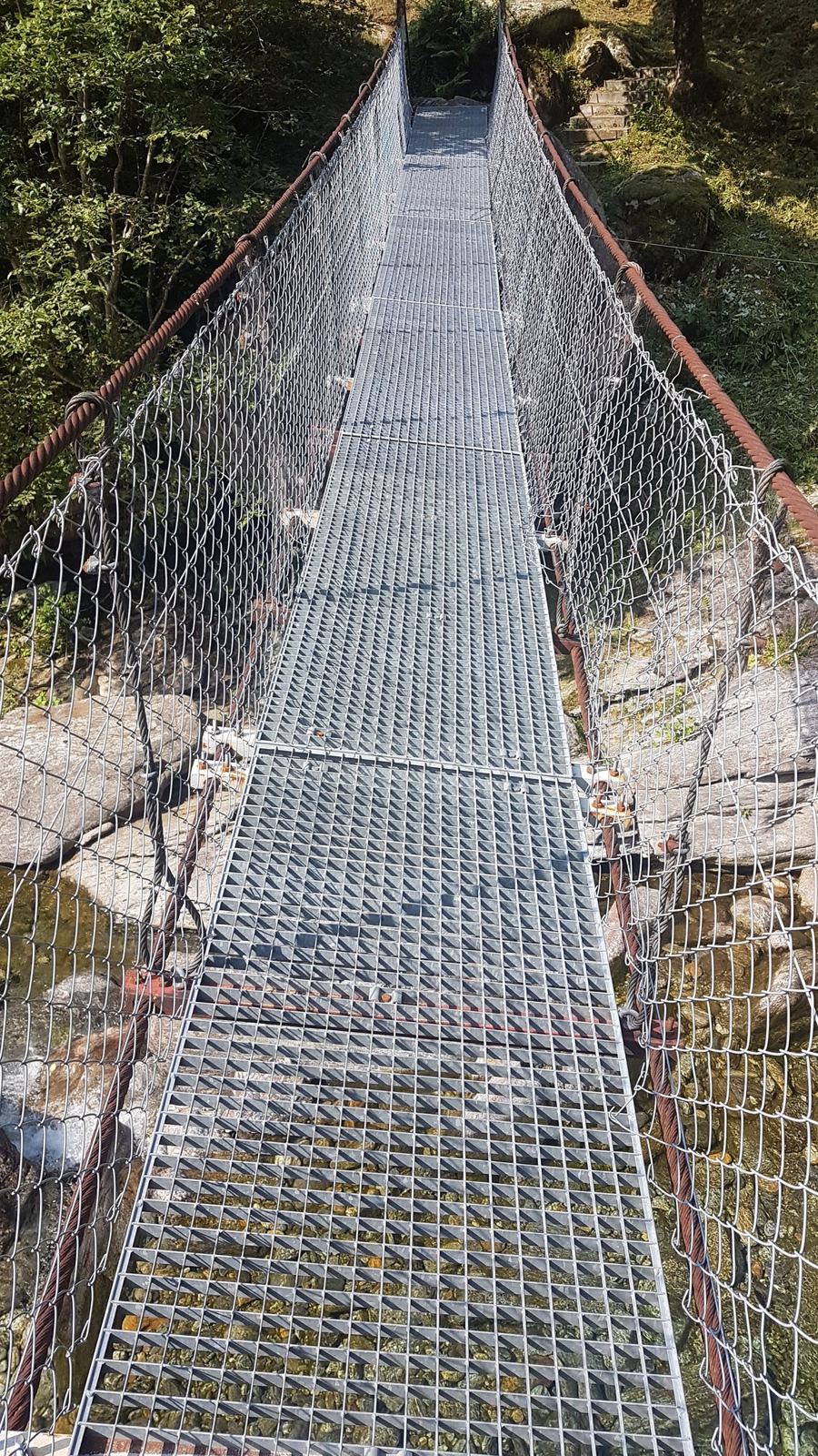 A metal-mesh suspension footbridge stretching across a wooded gorge