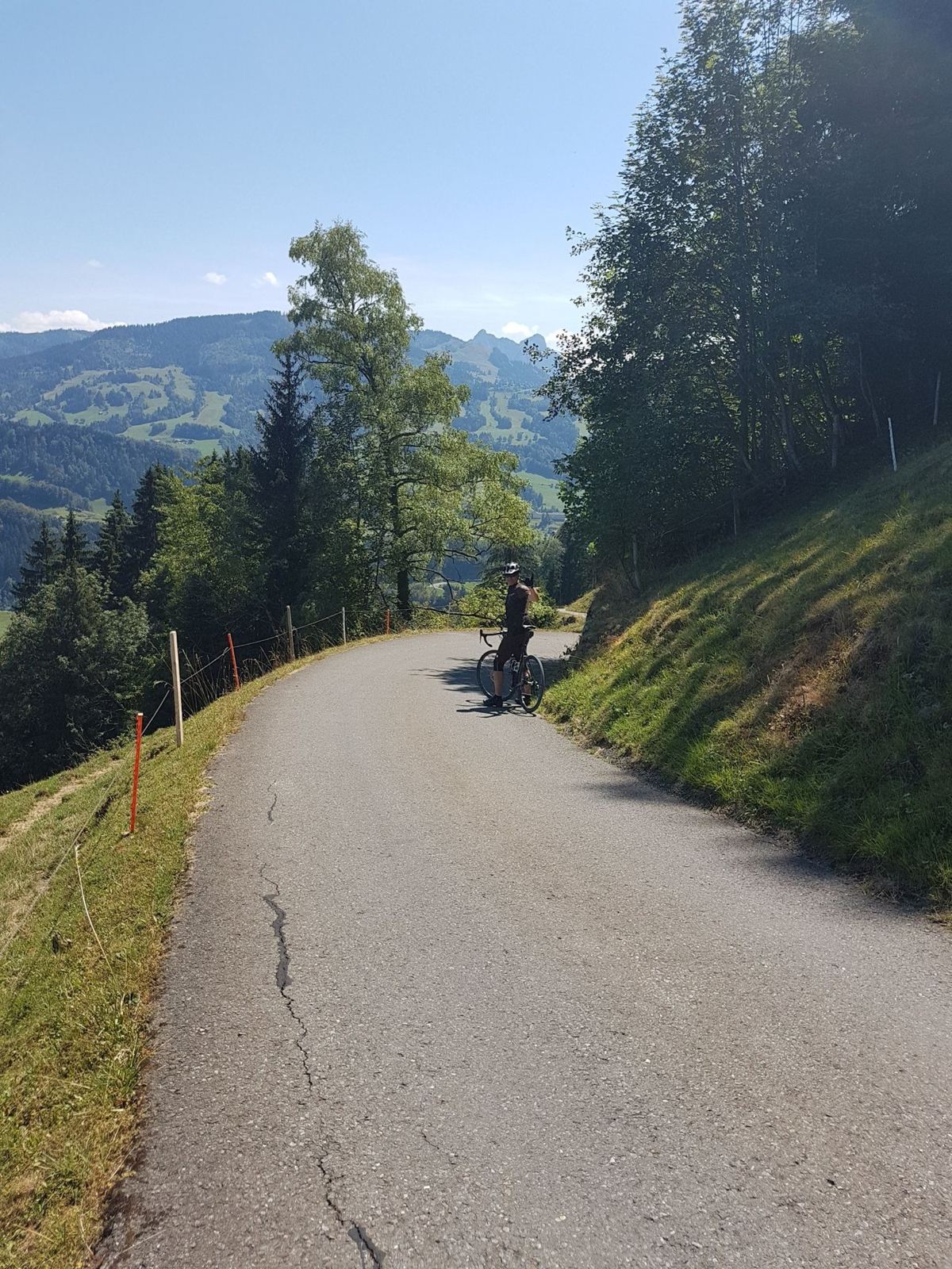 A narrow farm road dropping steeply between meadows and trees, with a cyclist ahead and hills behind