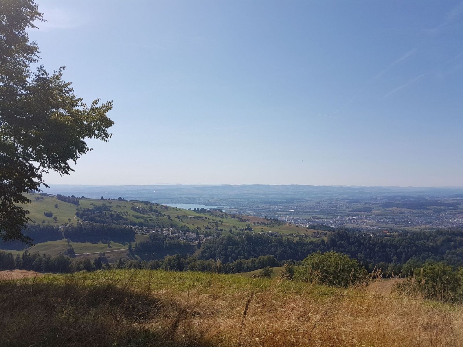 A view from the hills over farmland and forest to Lake Zug in the far distance